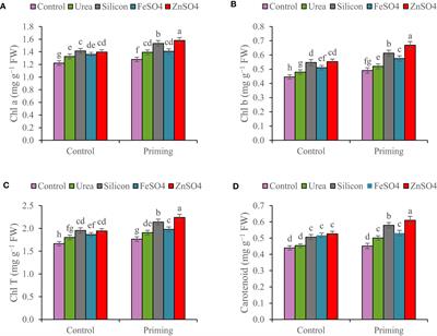 Combination of seed priming and nutrient foliar application improved physiological attributes, grain yield, and biofortification of rainfed wheat